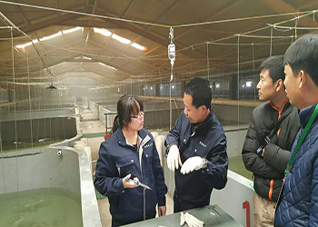 我國(guó)海水養(yǎng)殖技術(shù)新突破 告別'嗑藥'魚(yú)，首個(gè)海水魚(yú)活疫苗投產(chǎn)應(yīng)用